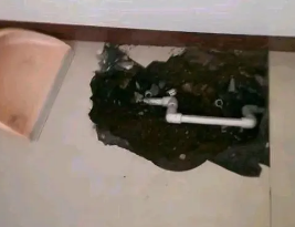 公安卫生间测漏水多少钱